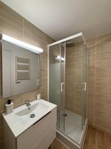 bagno con lavandino e doccia di Le Maurice - appartement centre-ville a Valence