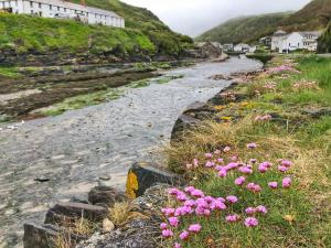 un groupe de fleurs roses sur le côté d'une route dans l'établissement The Riverside, à Boscastle