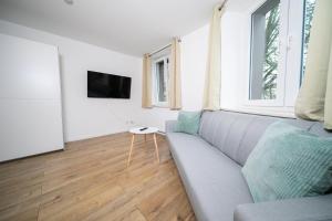 ein Wohnzimmer mit einem Sofa und einem TV in der Unterkunft Stylish Apartments - 71 m² - Zentral - 10 Min Messe in Düsseldorf