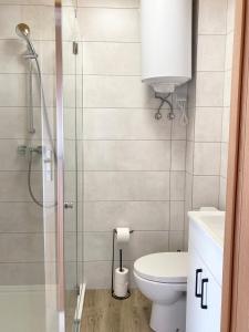 a bathroom with a toilet and a glass shower at Kwiat Paproci in Gąski