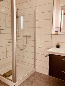 a bathroom with a shower and a sink at Gut Schmerwitz in Schmerwitz