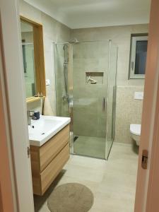 ein Bad mit einer Dusche und einem Waschbecken in der Unterkunft Villa Arbatica in Barbat na Rabu