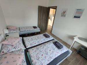 Zimmer mit 4 Betten und Flur mit Tür in der Unterkunft Apartmán Anamo in Vrchlabí