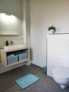 a bathroom with a sink and a toilet at Lieblingsstube in Welt