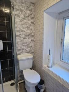 a bathroom with a toilet and a glass shower at Ideal for short stays in Cork