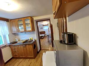 Kuchyň nebo kuchyňský kout v ubytování Apartmán Astomo + 2 fotografie