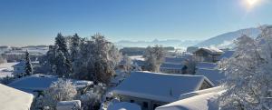 una ciudad cubierta de nieve con árboles y edificios en Alpen Apart Allgäu, en Oy-Mittelberg