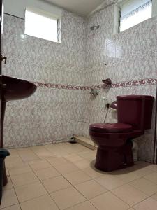 y baño con aseo y lavamanos. en Princess Bungalows, en Nuwara Eliya