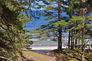 a view of the beach through the trees at Trommeļa brīvdienu mājiņas-kempings in Melnsils