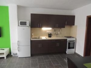 Kuchyň nebo kuchyňský kout v ubytování Apartmánový dům U Lucie