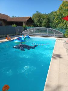 a swimming pool with dolphins in the water at Chambre indépendante in Replonges