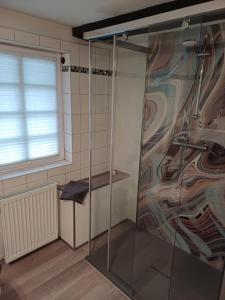 een douche met een glazen deur in de badkamer bij Altstadtliebe Salzuflen in Bad Salzuflen