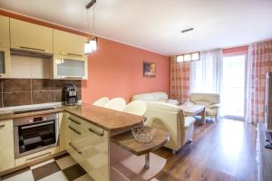 a kitchen and living room with a couch and a table at Sudety Park - PolanicaApartamenty pl in Polanica-Zdrój