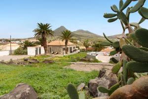 ein Haus mit Palmen und einem Kaktus in der Unterkunft Casa De Pedra in Porto Santo