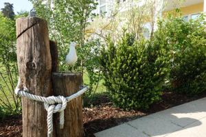 a bird sitting on a wooden post with a rope at Küstenwald - Ferienwohnung Igelring H in Müritz