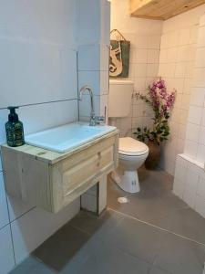 La salle de bains est pourvue d'un lavabo et de toilettes. dans l'établissement Studio Nature of Sea in the city center, à Antalya