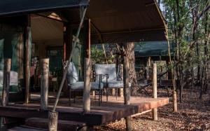 een groep stoelen op een houten terras bij Mashatu Tent Camp in Lentswelemoriti