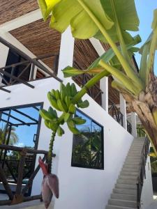 Une bande de bananes vertes suspendues à une maison dans l'établissement Sand Beach Boutique Villas, à Bwejuu