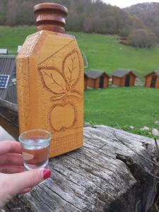 a person holding a bottle and a glass of water at Eco Village Goles in Kolašin