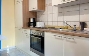 a kitchen with a sink and a stove top oven at Nice Home In Biendorf With Wi-fi in Biendorf