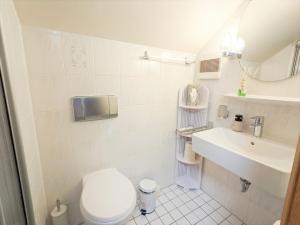 a small bathroom with a toilet and a sink at Urlaubsmagie - Ferienwohnung Turmfalke - Garten mit Terrasse & Saisonaler Pool - H6 in Sebnitz +40 photos