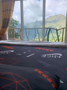 Fotografie z fotogalerie ubytování Naked privacy & Paradise view v destinaci Ella