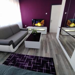 a living room with a couch and a tv at Cosmopolitan Apartman in Sárospatak