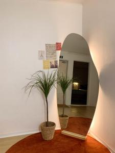 a mirror in a room with two potted plants at Stay Gongyu Nonhyeon in Seoul