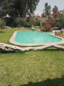a swimming pool with a log in the grass at Alquiler Casa Campo Ica in Ronceros Bajo