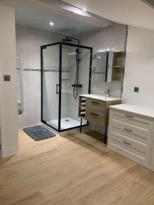 a bathroom with a shower and a sink and a mirror at Magnifique appartement T2 en Centre VILLAGE in Saverdun