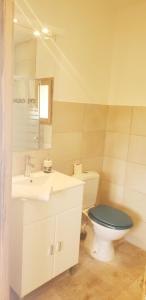 a bathroom with a toilet and a sink and a mirror at "Les Lauriers" chambre indépendante avec terrasse privée in Moustiers-Sainte-Marie +25 photos