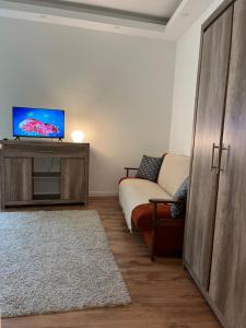 sala de estar con sofá y TV de pantalla plana en City Green Little Flat, en Budapest