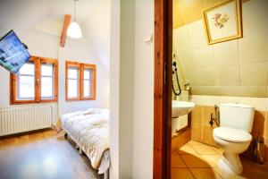 łazienka z łóżkiem, toaletą i umywalką w obiekcie REZYDENCJA MARIA Karpacz w mieście Karpacz +53 zdjęcia
