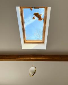 a skylight in a ceiling with a window at Pension Andra's House in Horezu