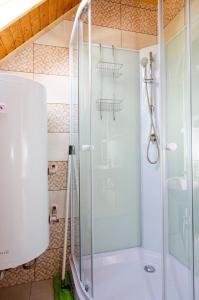 a shower with a glass door in a bathroom at Bánóporta in Köveskál +108 photos