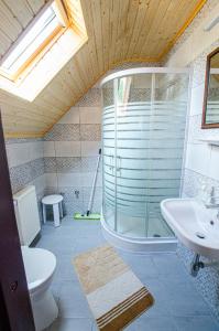 a bathroom with a shower and a toilet and a sink at Bánóporta in Köveskál