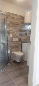 a bathroom with a toilet and a glass shower at Villa A&M in Vinišće +14 photos