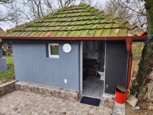 a small blue house with a green roof at Kouca in Leskovac