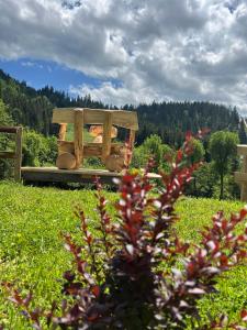 a wooden bench sitting in a field of grass at BerBen House in Vorokhta