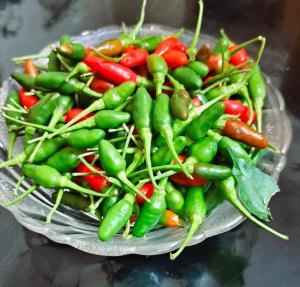 uma pilha de pimentos verdes e outros vegetais num prato em Suryas Home Stay em Devikolam
