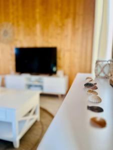 Televízia a/alebo spoločenská miestnosť v ubytovaní "La cabane" grande maison, clim, parking