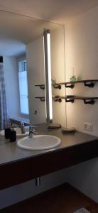 a bathroom with a sink and a mirror at Einzigartiges Appartement im Höfli11 mit 3 Schlafzimmer in Solothurn