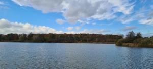 a large lake with trees in the background at Ferienwohnung Eichkater in Dannau +8 photos