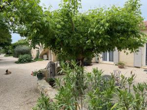 Zahrada ubytování Bastide Provencale