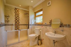 a bathroom with a toilet and a sink and a shower at Cosy Cabin Perfect To Explore in Garnant