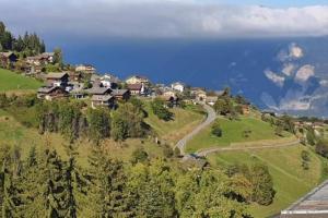 a village on a hill with houses and a road at Torgon Grand studio Confortable in Torgon