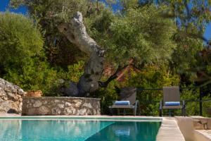 a swimming pool with two chairs and a tree at VILLAS CARISMA - Natural Style Villas for 14 people in Sivota