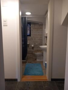 a bathroom with a toilet and a blue rug at Guest house Dagovic in Bajina Bašta