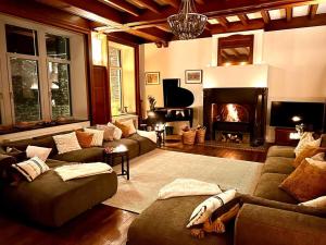 - un salon avec un canapé et une cheminée dans l'établissement Manoir Nestor - Chairière, à Vresse-sur-Semois