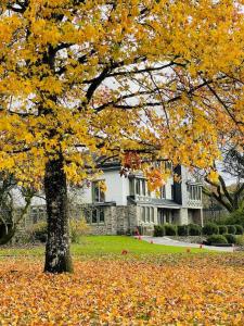 瑟穆瓦河畔夫雷斯的住宿－Manoir Nestor - Chairière，树在房子前面,树叶在地上